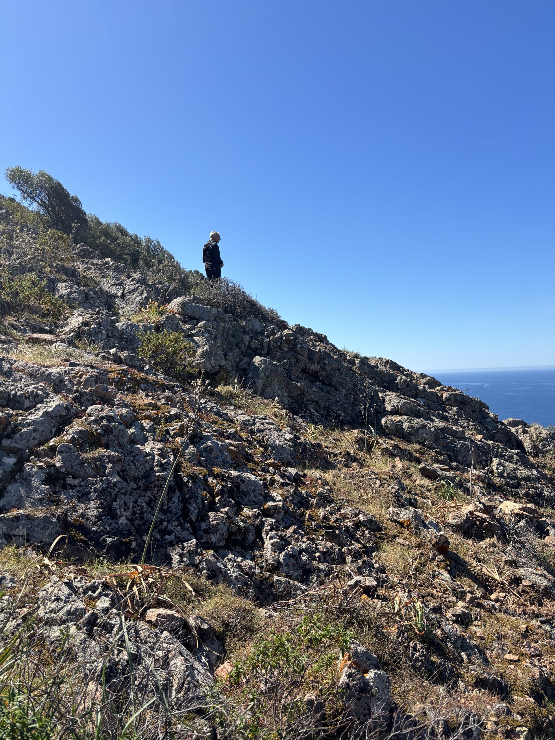 11 SECTIONS… IT’S GOING TO HURT